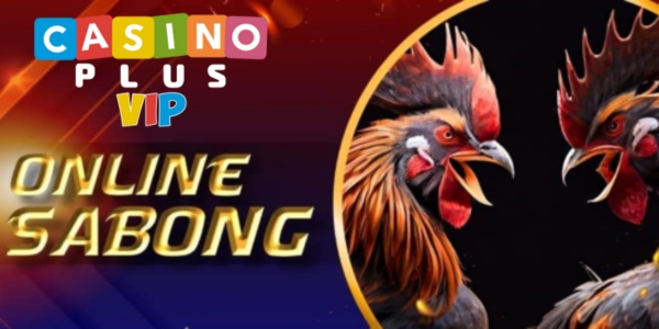 Cockfight in casino plus vip